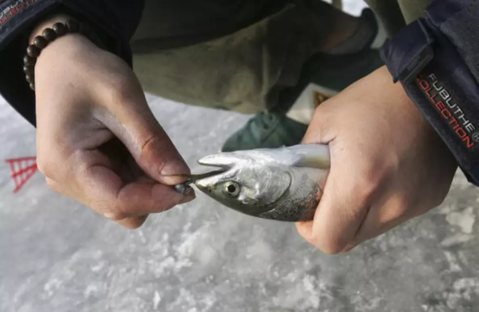 FREE Fishing In Maine This Weekend