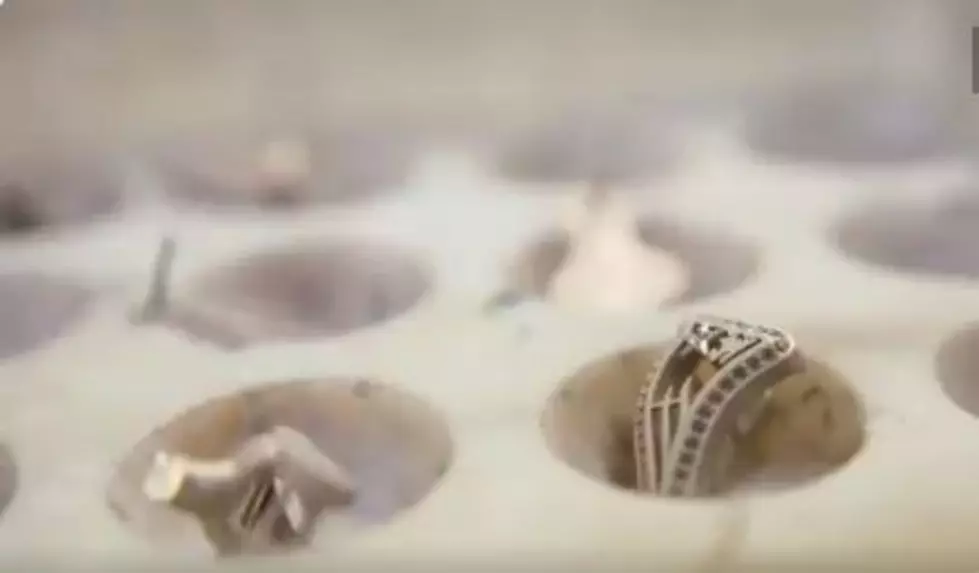 The Patriots Tweeted A Preview Video Of Their Super Bowl LI Rings Being Made And They Look Fabulous!