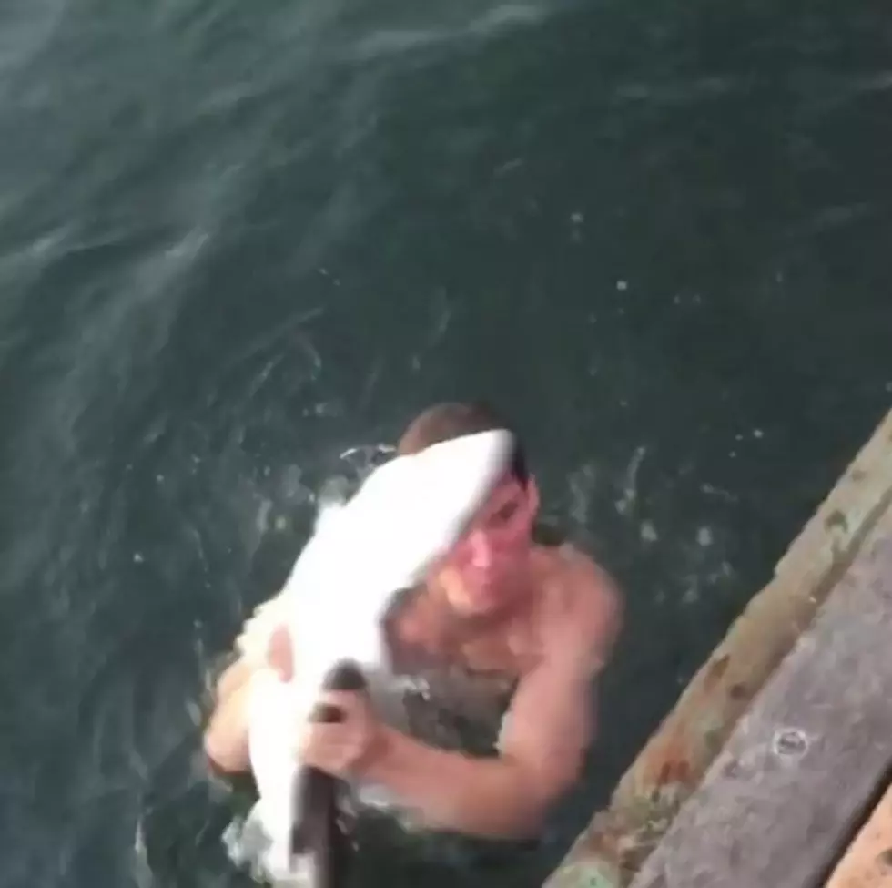 Guy Dives Into Water To Wrestle A Baby Shark As His Friends Cheer Him On