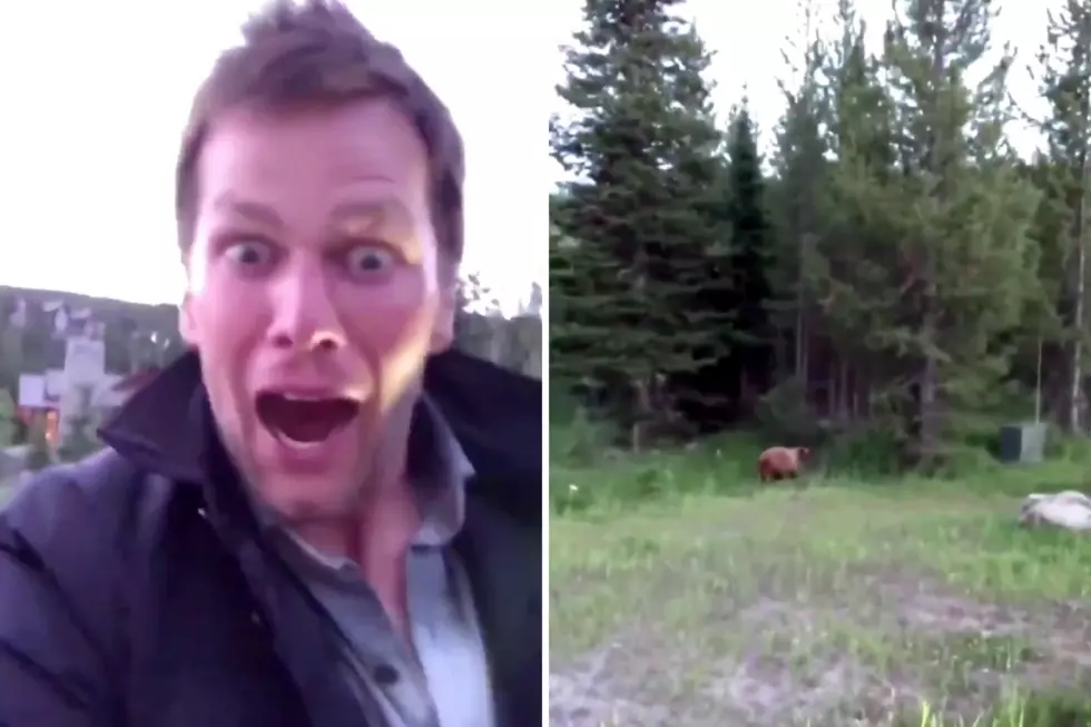 Tom Brady Getting Close to a Bear Isn’t the First Time He’s Scared Patriot Nation