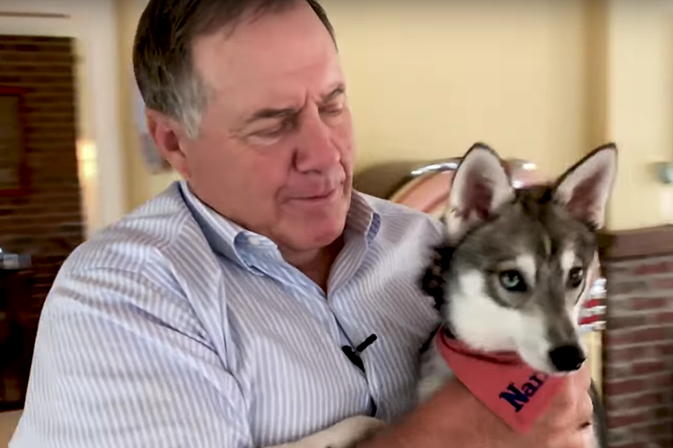 Coach Belichick Has a New Best Friend:  A Dog Named Nike