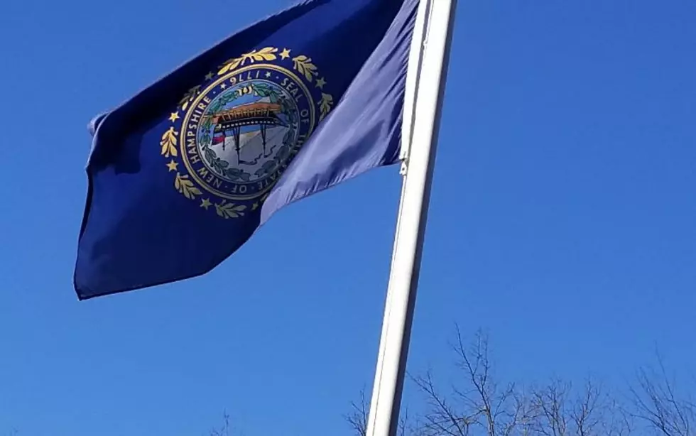 Look Closely at This NH State Flag, What is the Meaning?