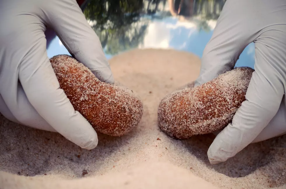 The Big Iconic Route 1 Dinosaur is Now Holding A Big Iconic Boston Donut