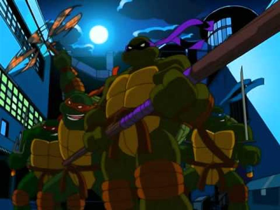 Did You Know Teenage Mutant Ninja Turtles Were Created In Dover? 