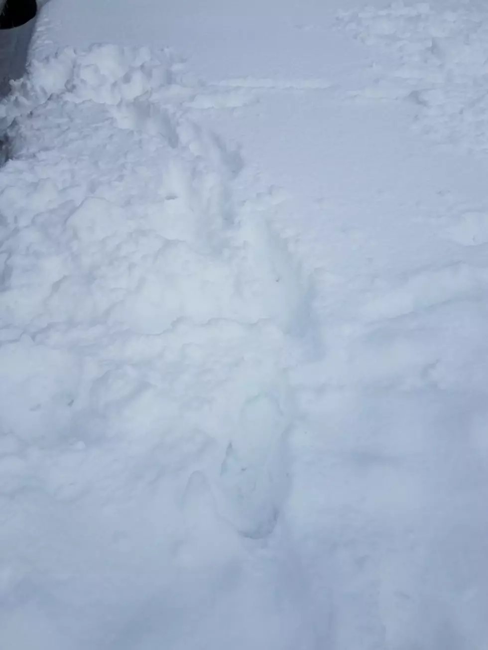 Accused Massachusetts Thief Foiled by Footprints