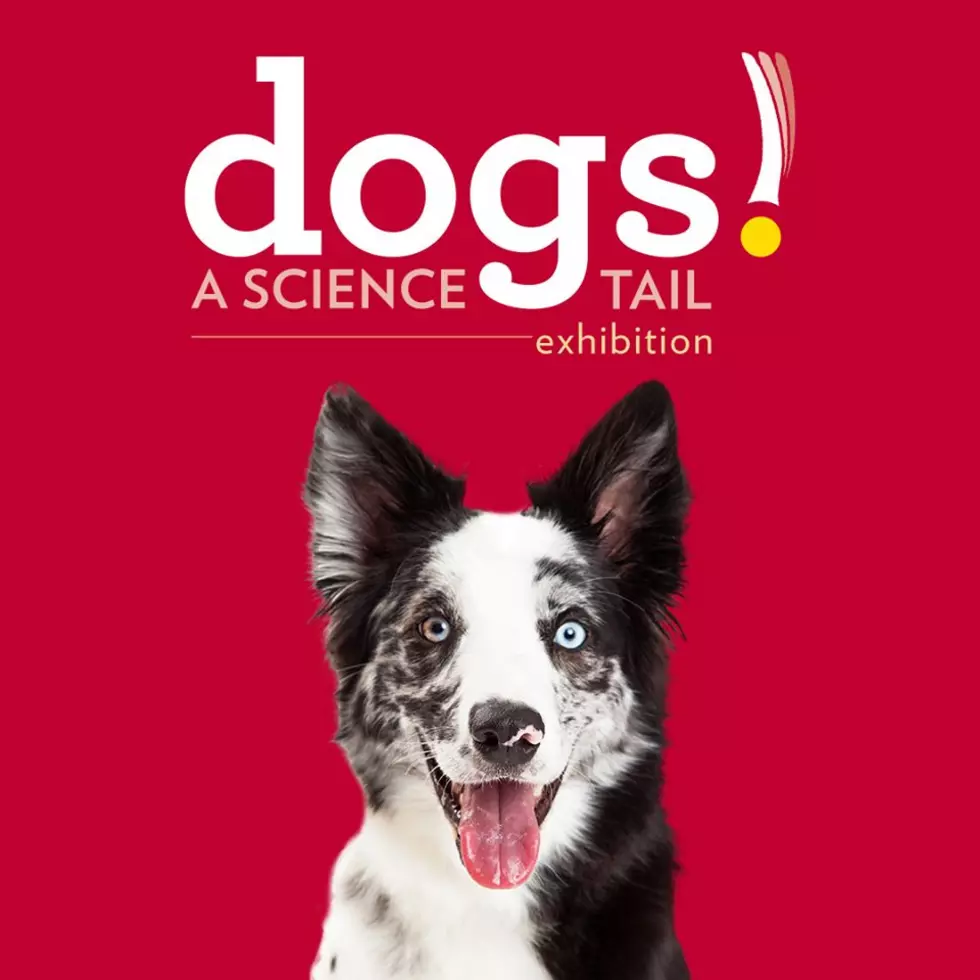 Museum of Science Boston Opening Exhibit About Dogs