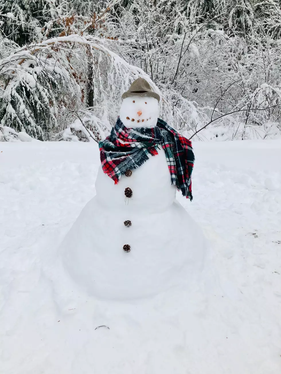 AZ Woman Makes a Better Snowman Than This Native New Englander
