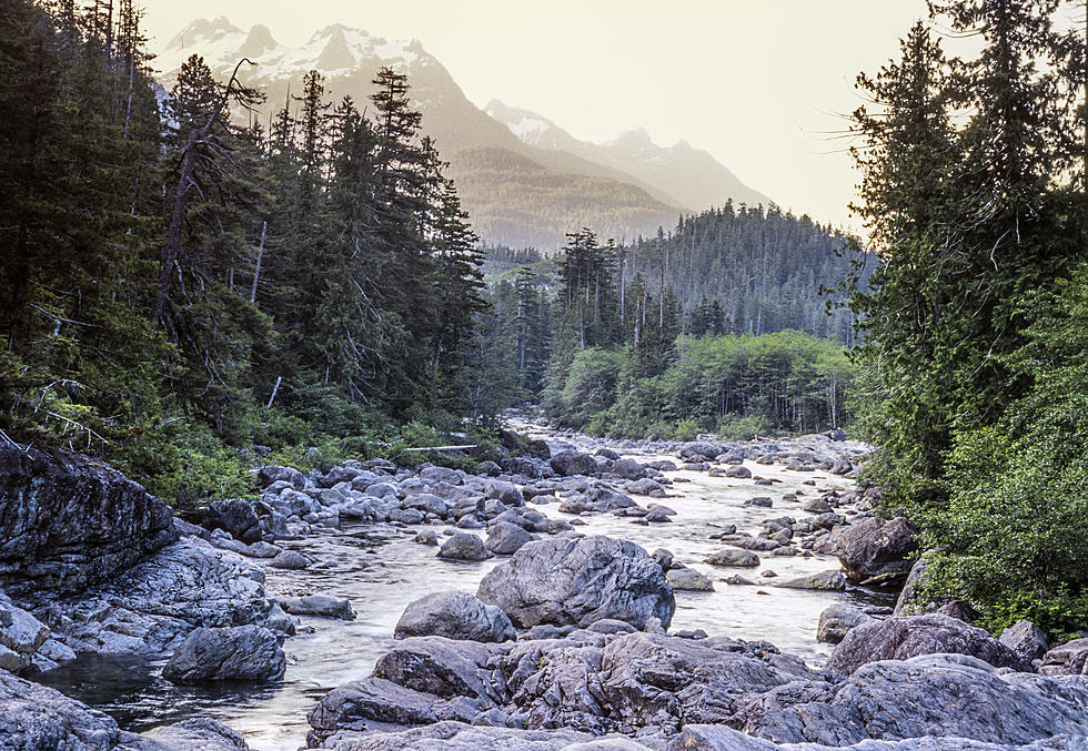 5 Reasons the White Mountains of NH Is Your Next Scenic Road Trip