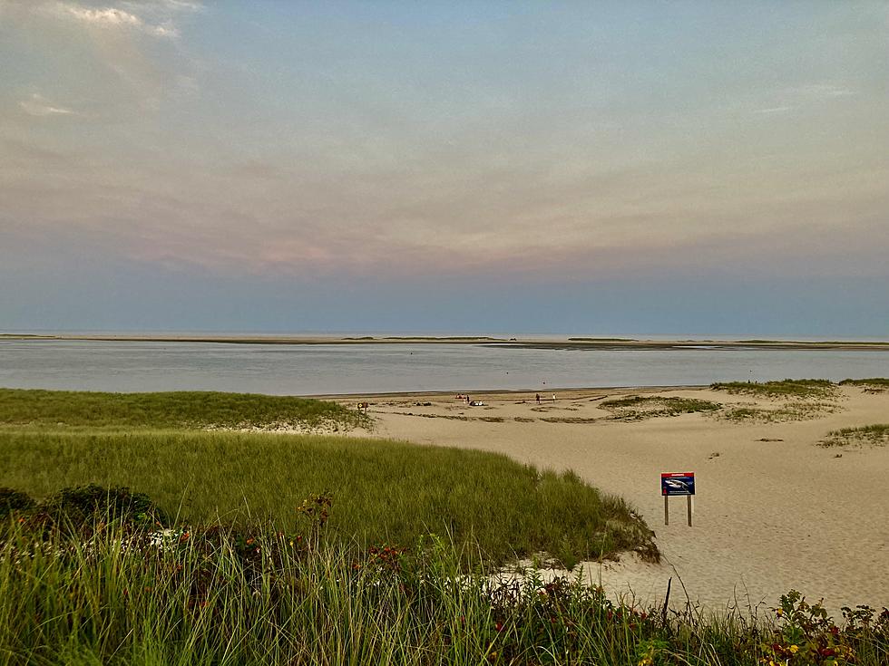 Going to Cape Cod?  These Two Surprising Months See the Most Shark Sightings