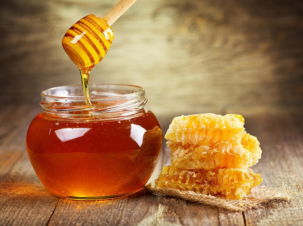 Here's Why We Should All Eat Local New England Honey
