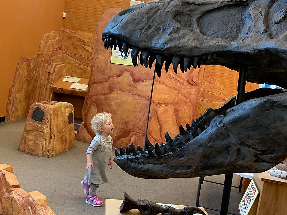 Celebrate Valentine&#8217;s Day With T-Rex at the New Hampshire Children&#8217;s Museum in Dover