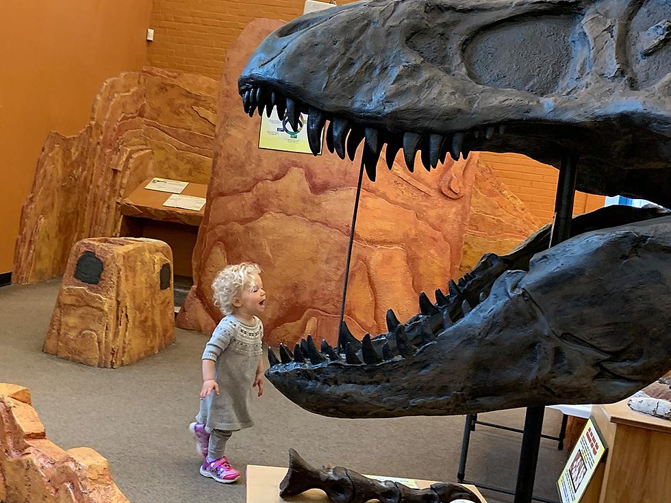 Valentine's Day With T-Rex at New Hampshire Children's Museum