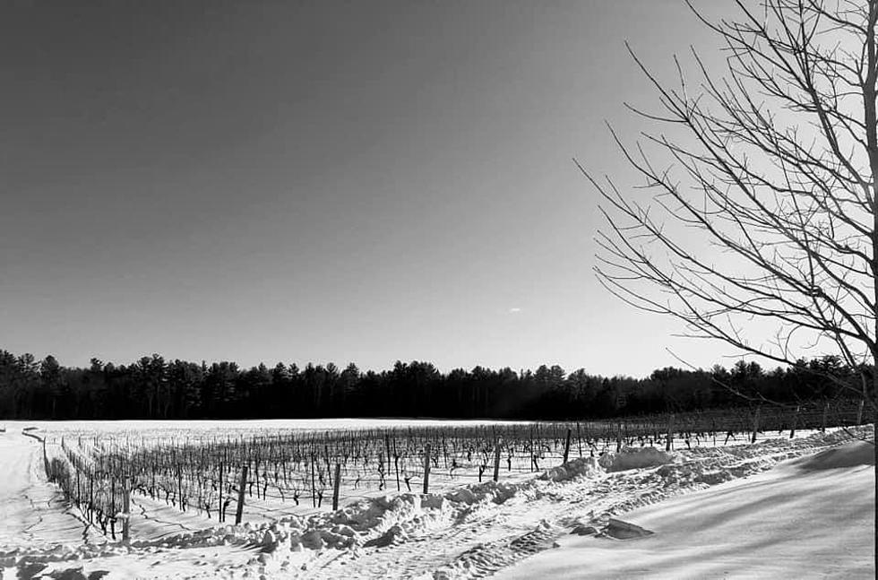 Free Snowshoeing and Cross-Country Skiing at This New Hampshire Vineyard