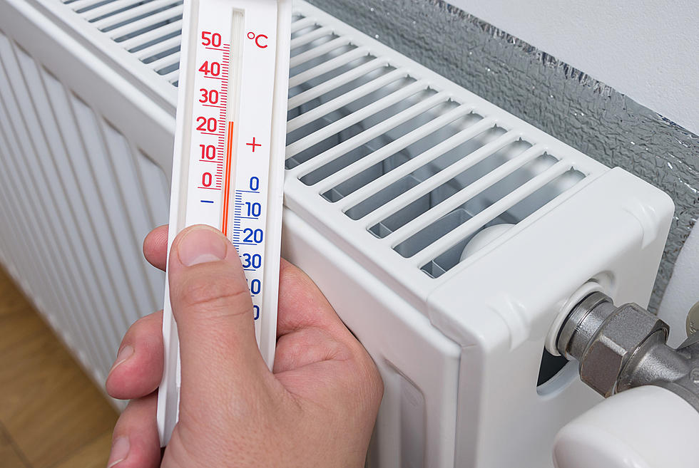 The Best Grill Thermometers Tested in 2023 - Tested by Bob Vila