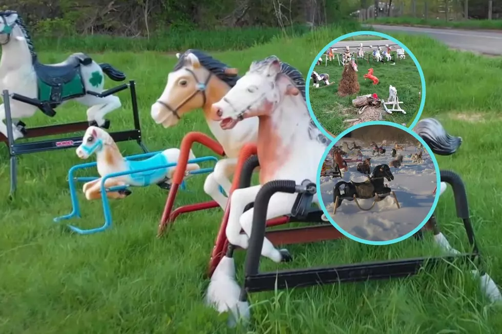 Creepy or Cool?  A Rocking Horse Graveyard in Massachusetts