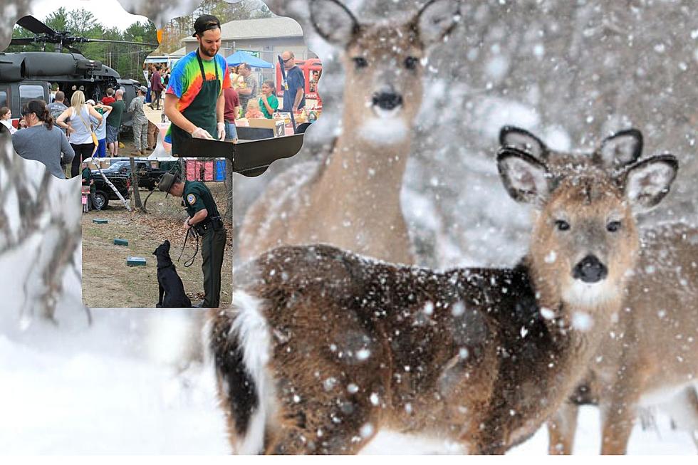 It’s Back With Food Trucks, Raffles, Animals, & More at Discover WILD New Hampshire Day