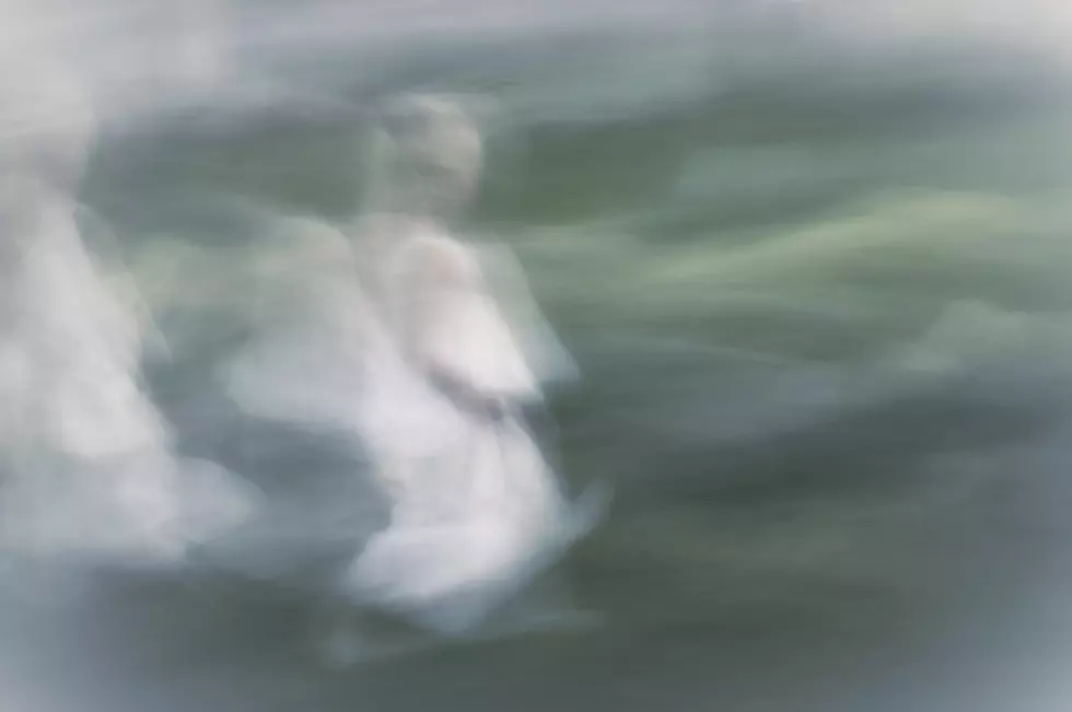 Defocused angel of young girl with wings moving through a soft background