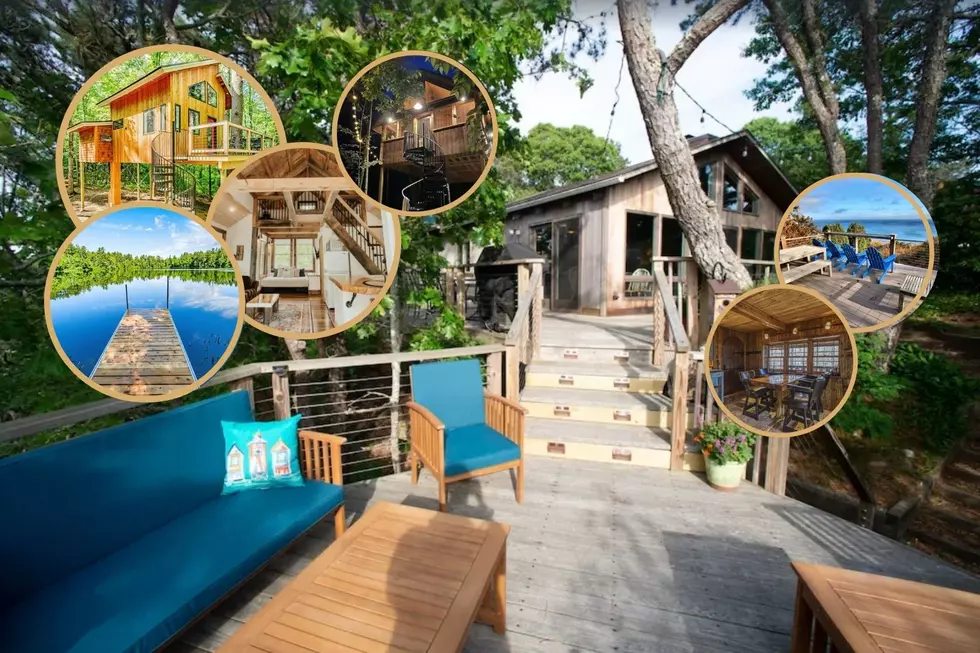 Let's Do This: 7 Tremendous Treehouse Trips in NH, ME, and MA