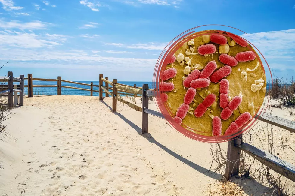 New Hampshire Lands in the Country&#8217;s Top 10 Beaches With the Highest Bacteria Levels