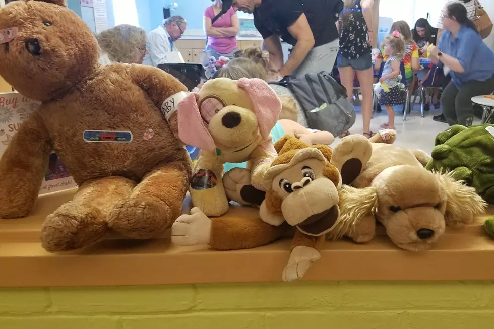 Teddy Bear Clinic Time at the New Hampshire Children's Museum