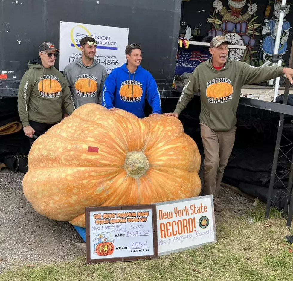 New Hampshire Man's Record for Biggest Pumpkin in the US Broken