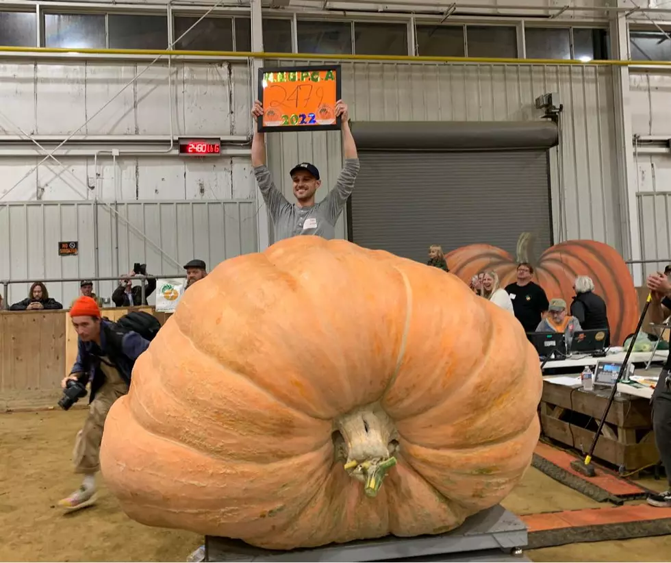 Massachusetts Man Grows Record-Breaking Pumpkin