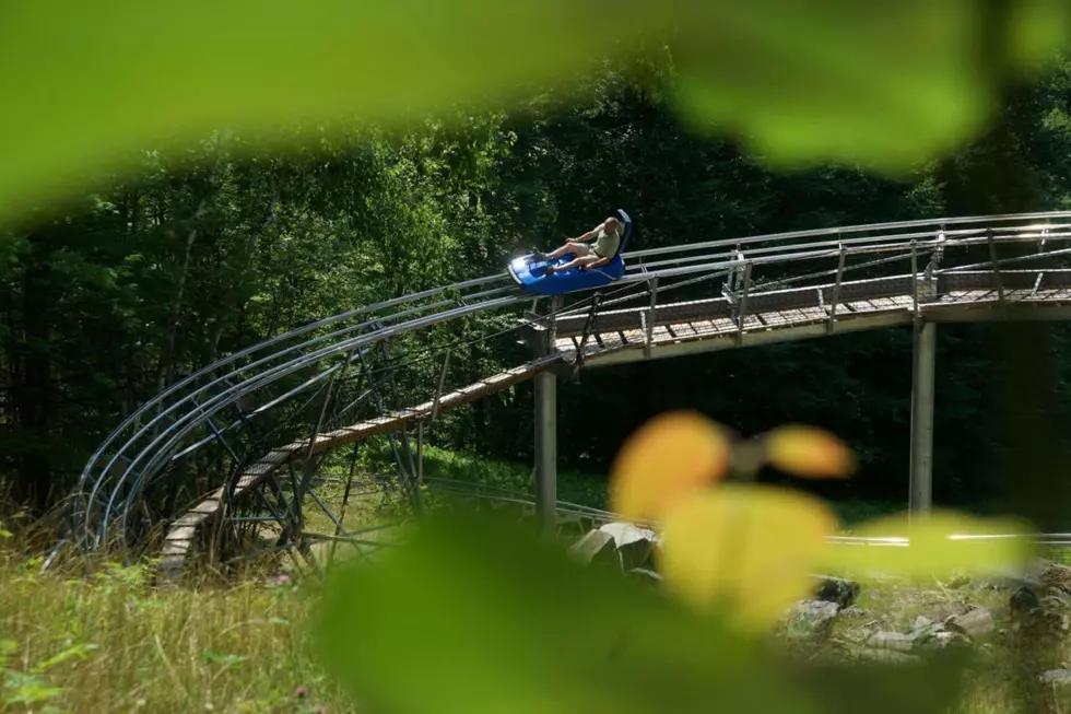 See Fall Colors on America's Longest Mountain Coaster in MA