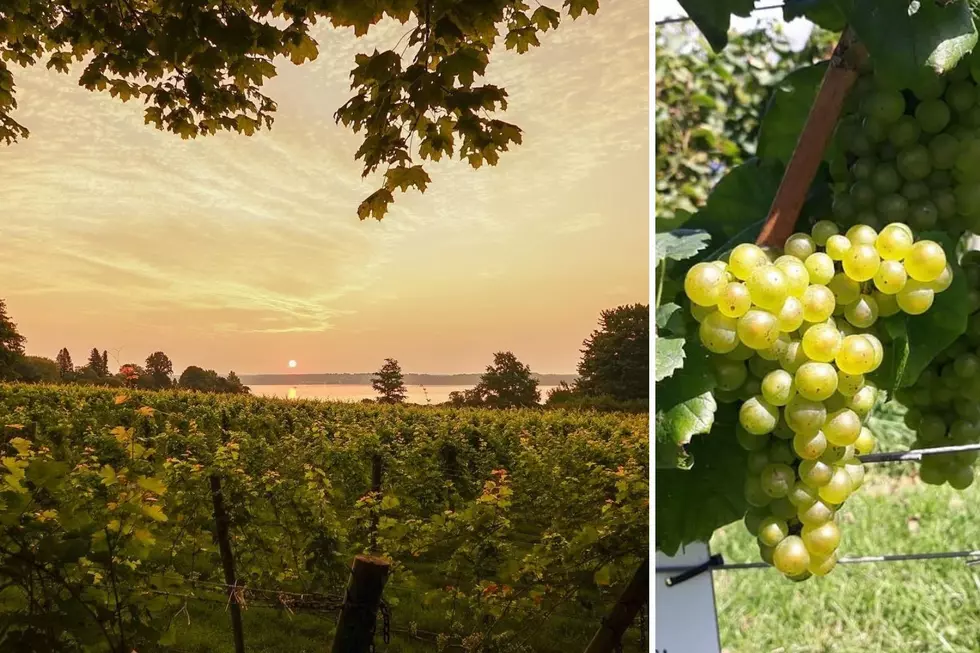 Surprise: 3rd Best Winery Destination in USA is in New England