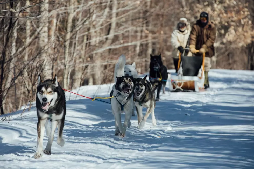 These Breathtaking Dog Sledding Tours Are Your Next Maine Winter Adventure