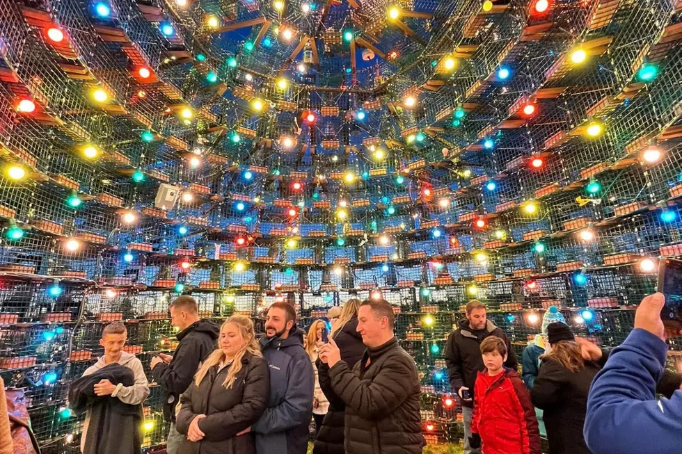 New England Town’s Lobster Trap and Buoy Christmas Tree is a Copyrighted Masterpiece