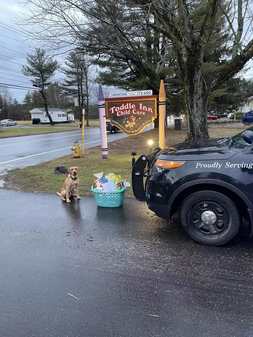 Westbrook, ME Police Share Hilarious 'Survival Kit' They Received