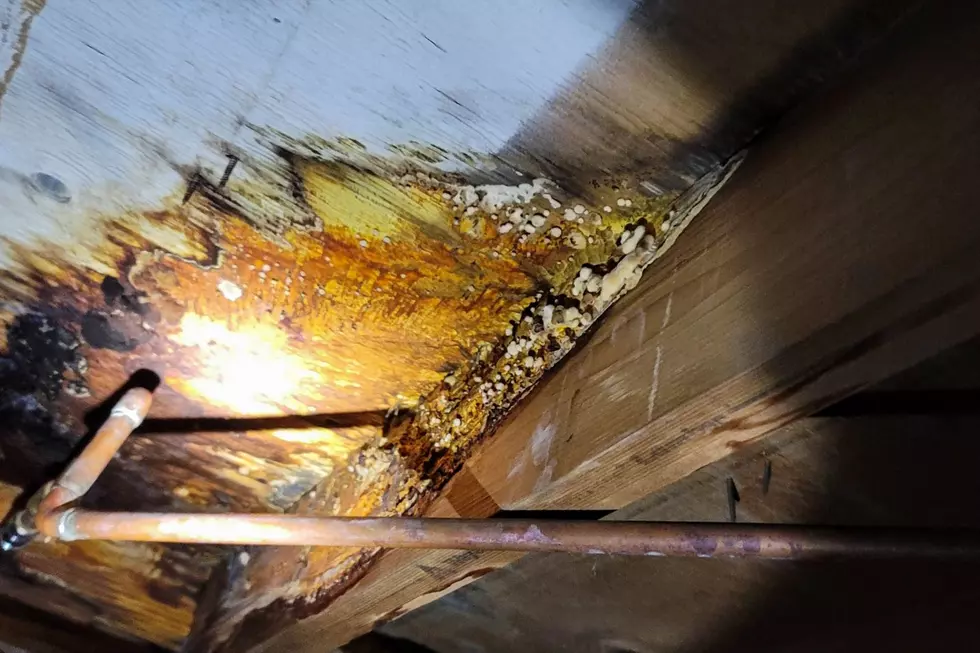 If the Attic in Your New England Home is Painted White, Here&#8217;s What&#8217;s Hiding Underneath