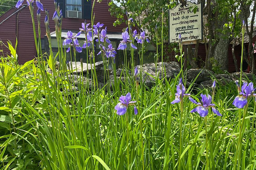 Granny's House in 'Little Red Riding Hood' Based on NH Restaurant