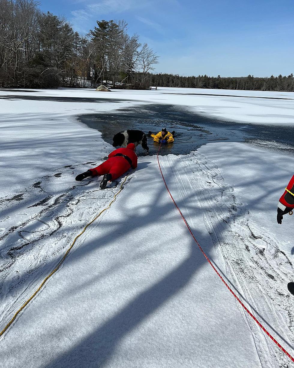 Two Massachusetts Dogs Okay After Falling Through Ice at&#8230;Badluck Lake