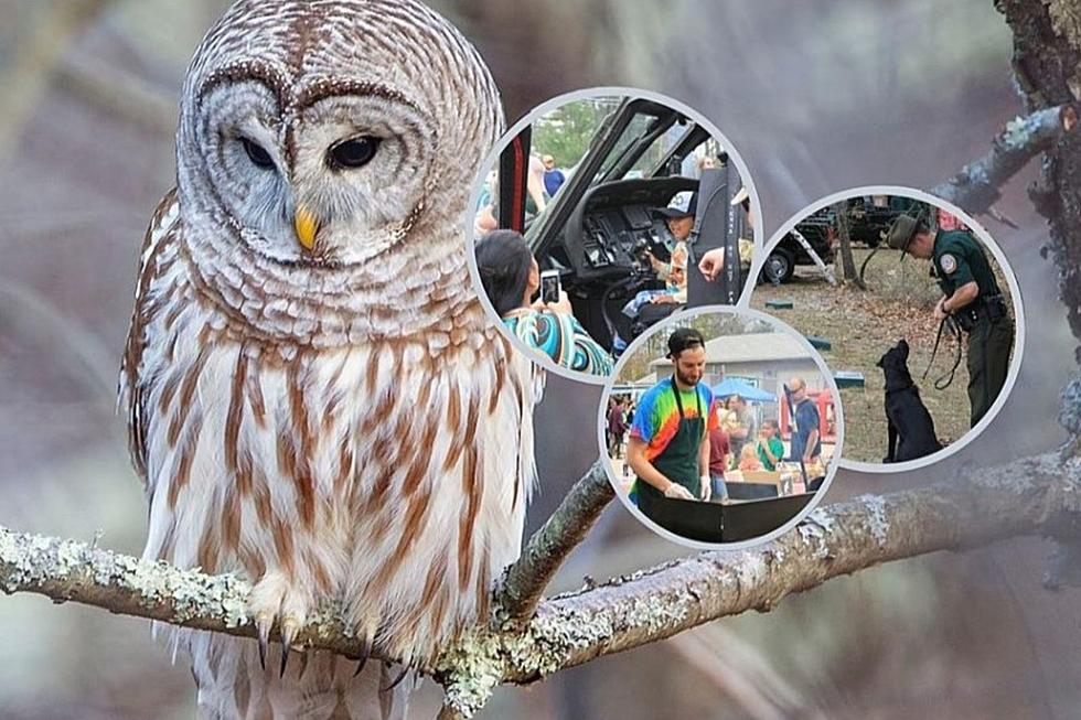 Food Trucks, Raffles, and Animals at Discover WILD New Hampshire Outdoor Festival