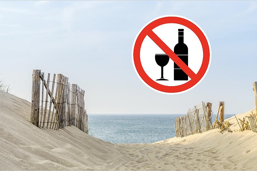 Popular Massachusetts Beach Bans Alcohol for the Summer