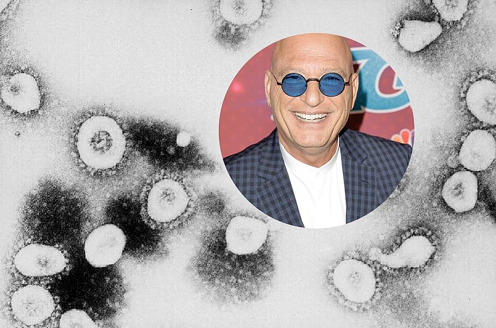 New England’s Got Germs, but This Howie Mandel-Inspired Idea Could Help Just a Little