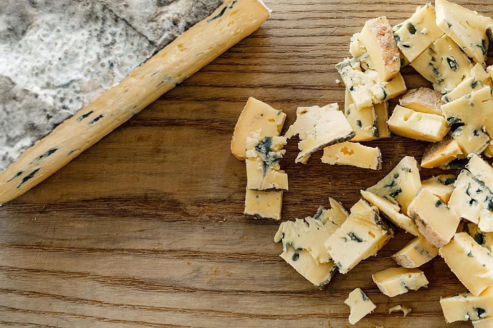 Exceptionally Delicious New England Cheese Festival is Back