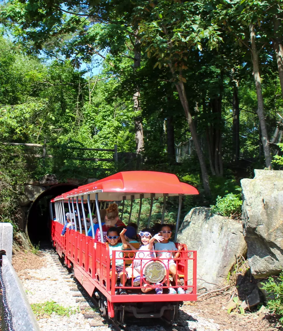 EcoTarium Museum