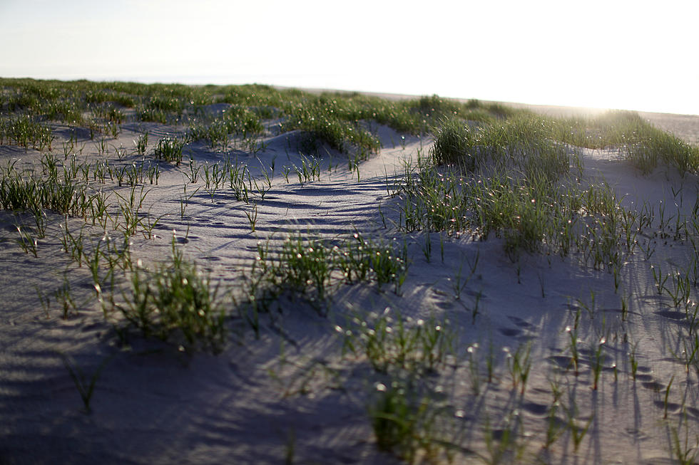 Legendary Massachusetts Mystery is Finally Solved After 49 Years