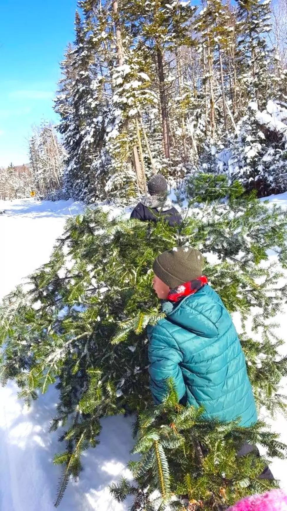U.S Forest Service White Mountain National Forest Facebook