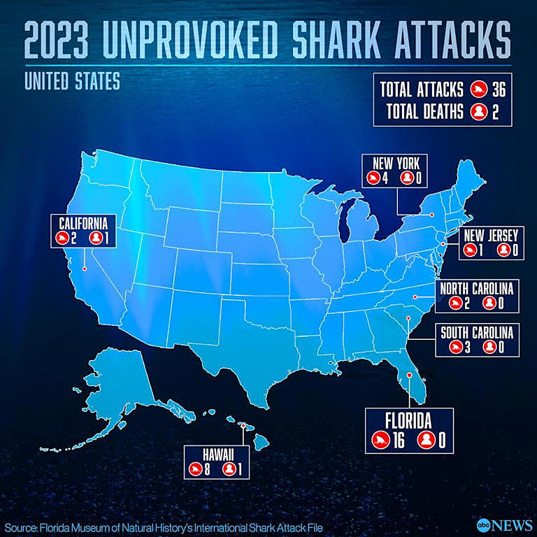 Deaths from shark attacks across the world doubled in 2023
