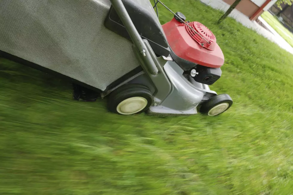 Hurry Up and Mow Because It's Almost 'No Mow May' in New England