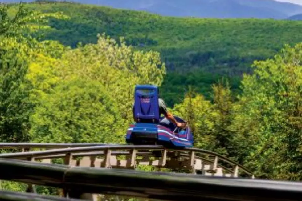 Longest Mountain Coaster in U.S. is Near New England Border in NY