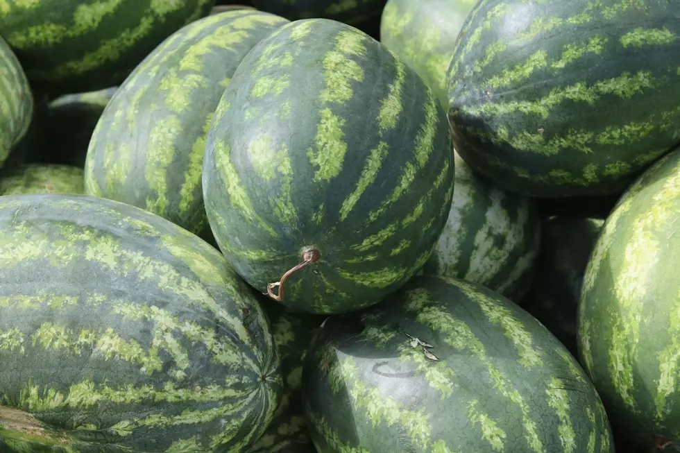 Picking a Perfectly-Ripe Watermelon for Your New England Summer