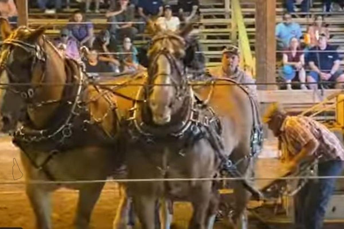 5 Things You Need to Know About New Hampshire's Hopkinton Fair