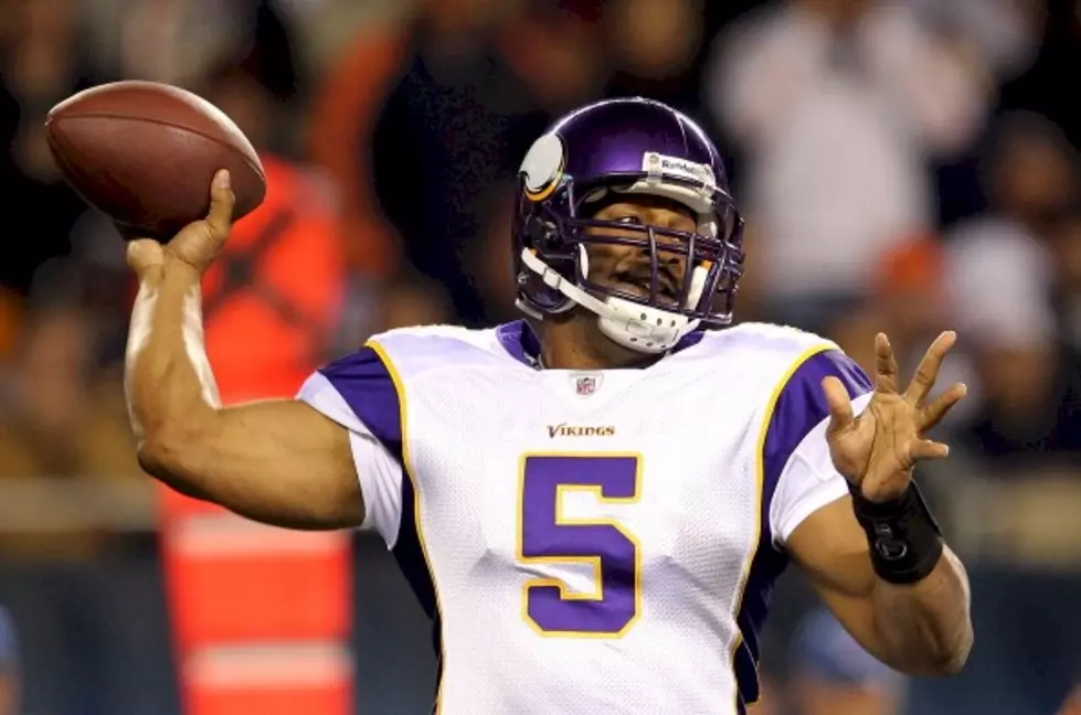 Vikings Release McNabb