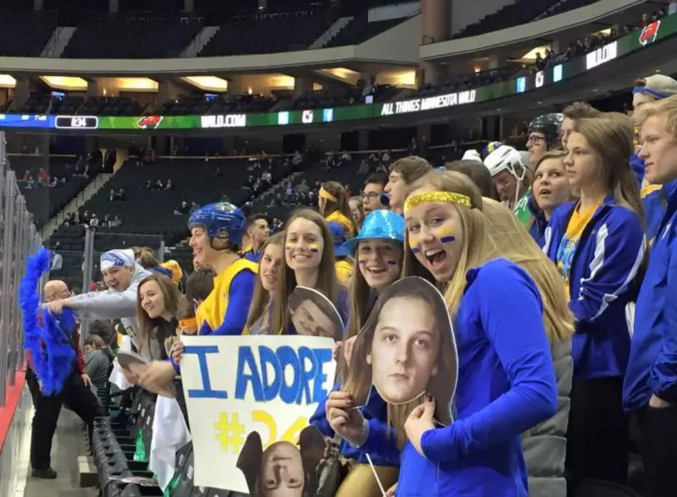 GALLERY: Cathedral Hockey At State Tournament
