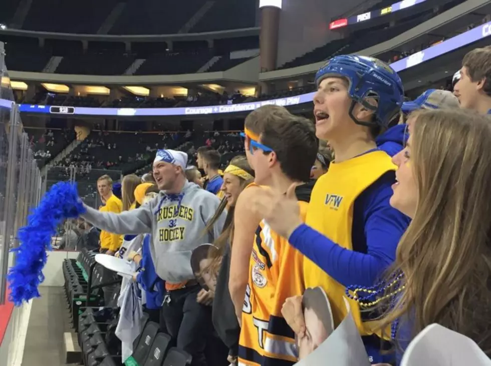 MSHSL Hopes To Add More Fans For Hockey, Basketball Tourneys
