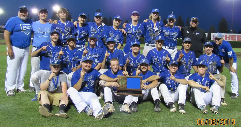 Foley Baseball is in Pursuit of a State Title [PODCAST]